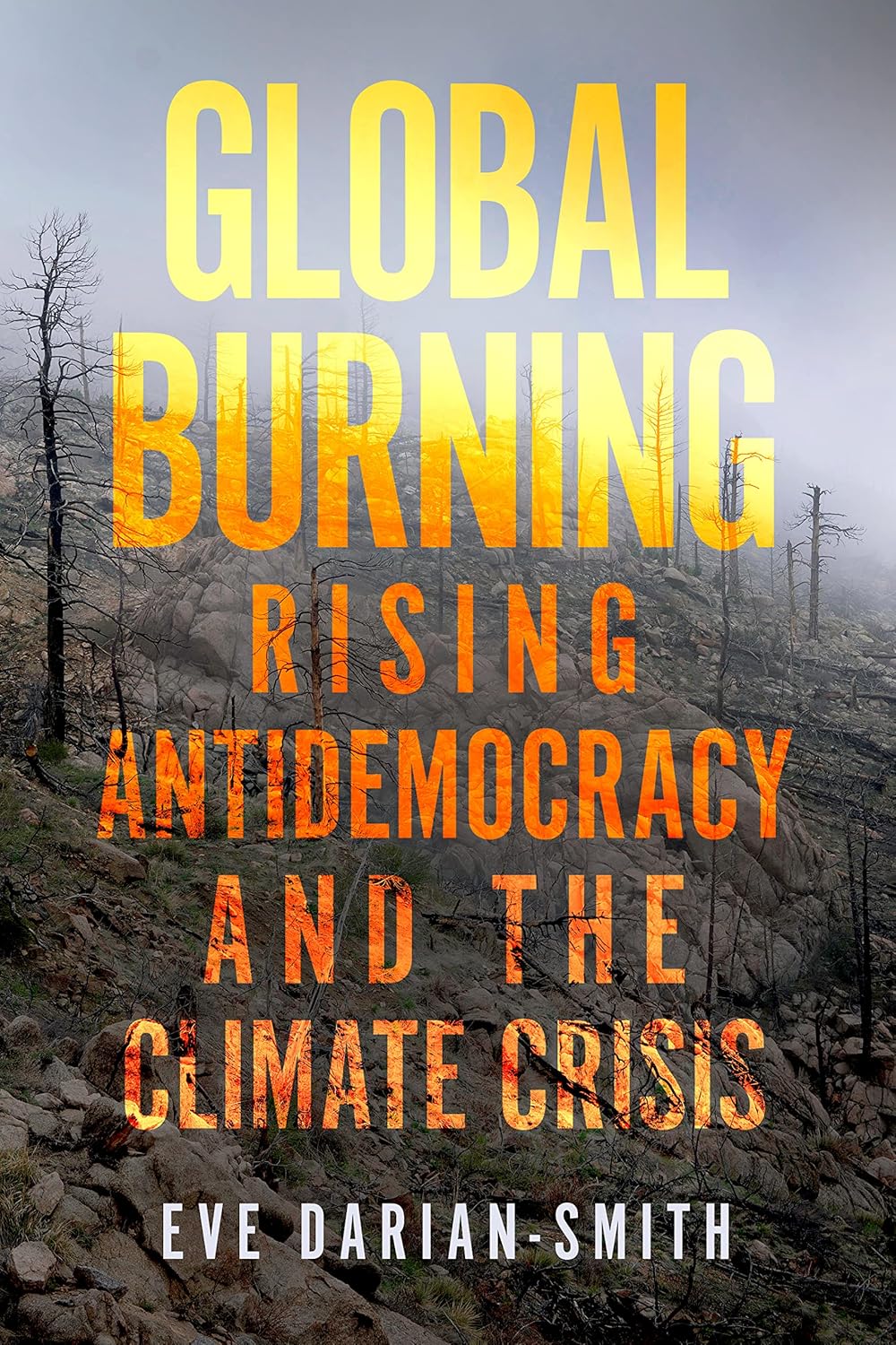 Global Burning: Rising Antidemocracy and the Climate Crisis Book Cover